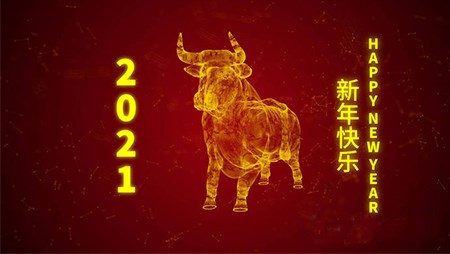 西迪技術股份有限公司20201年春節(jié)放假通知